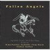 Various FALLEN ANGELS Legendary Country Rock Recordings (Camden Deluxe – 74321 660392) Europe 1999 compilation CD (Country Rock)